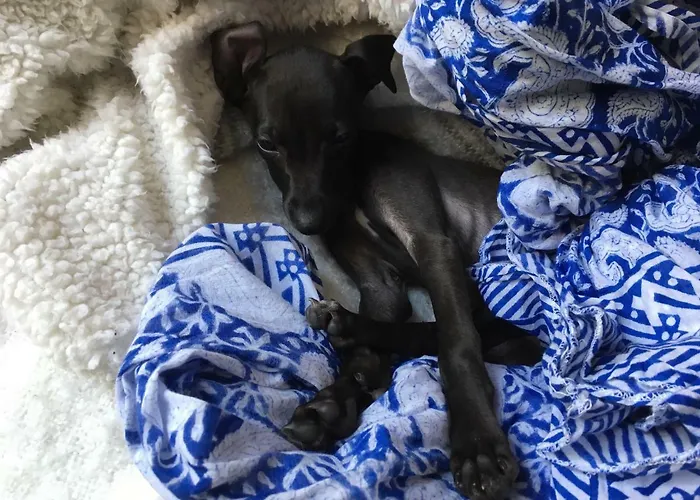 Art'e Bed and breakfast