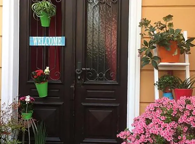 Art'e * 로카르노