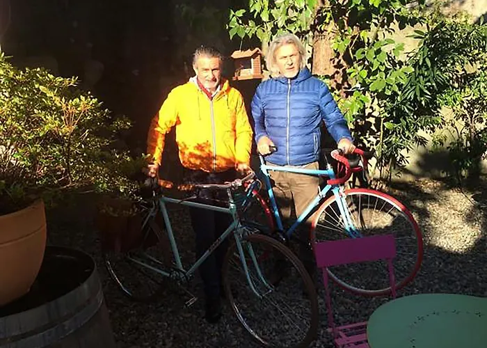 Art'e * 로카르노