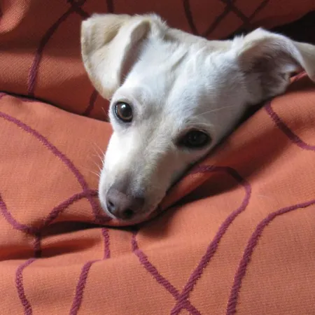 Bed & Breakfast Art'e Locarno